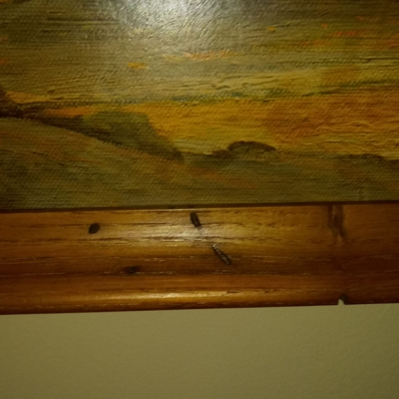 Robert Woods reprint. - Picture 2 of 5